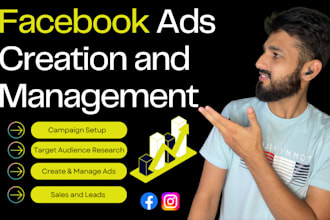 manage your facebook meta ads campaign as a professional media buyer