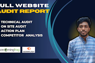 provide full website audit report with guideline