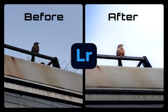 professionally edit your pictures in adobe lightroom