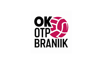 design significant volleyball logo