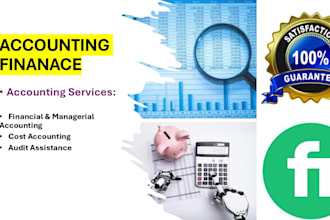 do accounting and finance and financial accounting projects and tasks