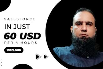 be a salesforce developer and integration expert