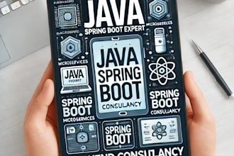 provide expert java spring boot consultancy for your project
