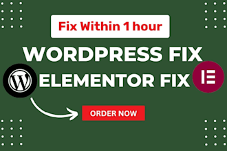 fix elementor, 500 internal server error, wordpress bugs fix  1 hour