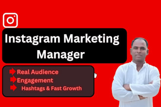 be your instagram marketing manager for fast growth