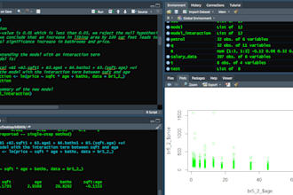 be your data analyst for business and project reports using r, excel, spss