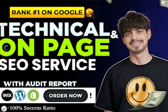 do professional on page, technical SEO optimization for websites