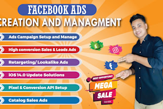 manage shopify facebook ads campaign, fb ads, meta ads