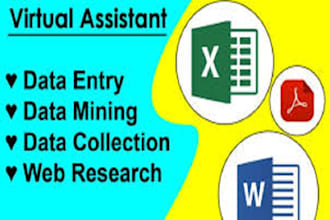 do data mining , data entry, copy and paste works