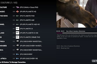 develop smart tv app, iptv app, p2p iptv app, android and ios with subscription