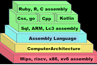 do computer architecture, ruby, r, css, cpp, kotlin, go, amr, lc3, sql, assembly