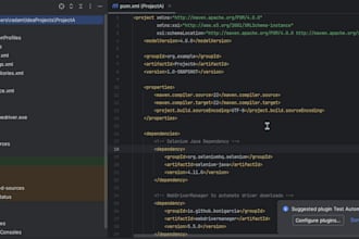 provide manual and automated testing for web applications
