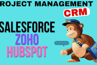 do any salesforce development and administration task zoho crm ,hubspot crm