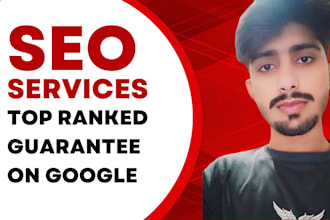 be your onpage and offpage SEO expert for your website