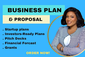 write investor ready business plan, proposal, pitch deck financial plan approach