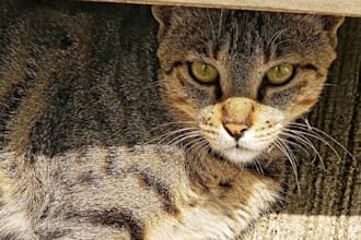 provide expert photography advice to improve your skills
