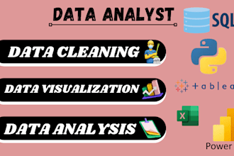 be your data analyst and visualization expert