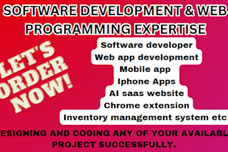 software developer for web programing,QA testing,iphone app,saas,web app,python