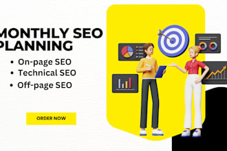 provide monthly SEO service, technical on page and off page services