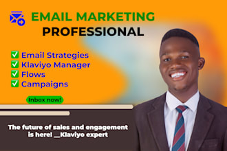 create email campaigns, email flows, and email strategies
