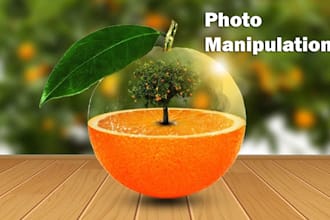 professional photo manipulation and photoshop editing