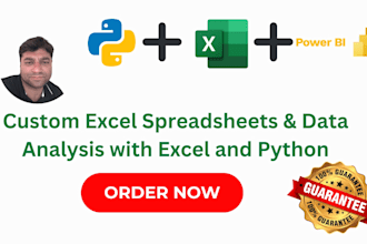 create custom excel spreadsheet, visualizations big data