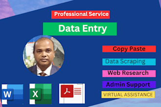 do professional data entry and web research job