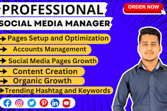 be your social media marketing manager and digital marketing