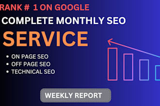 do complete monthly SEO service to increase organic traffic