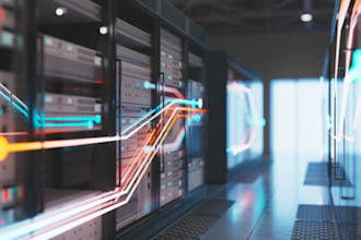 configure your network and set up cisco routers and firewall