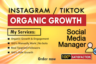 do instagram promotion for organic growth