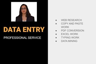 do excel data entry, web research, PDF to excel, insert data, copy paste