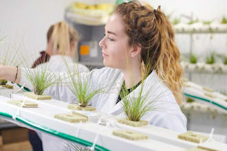 do scientific writing on biological and plant sciences