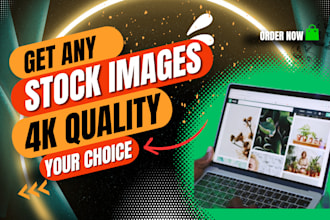 provide highest quality 4k stock photo and video for project
