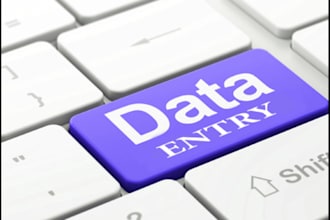 do data entry, web research, ms word data entry, data collection, copy paste