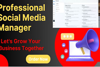 create and manage facebook, instagram and twitter ads