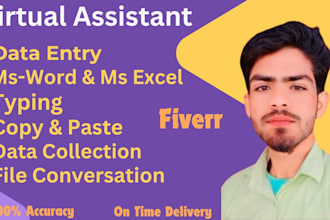 data entry, ms excel, ms word, typing, copy paste