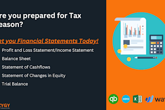 prepare financial statements, balance sheet, profit and loss