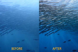 do underwater colour correction for photos and videos