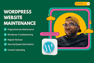 provide wordpress website maintenance, help and support