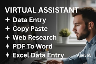 be your virtual assistant for data entry, copy paste, typing, web research