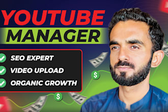 be your best youtube video seo expert and channel growth manager