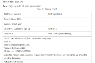 design and execute test cases for your software