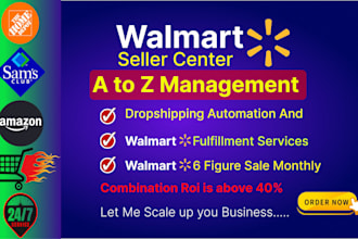 your walmart dropshipping and wfs store management virtual assistant VA