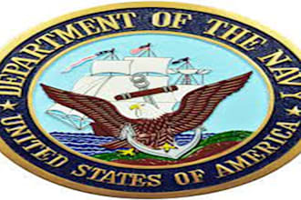 do essay, criminology, history, penology, cybercrime, federals government paper