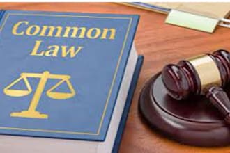 do essay writing, research summary, law essays, case study,business essay