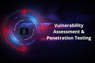 perform penetration testing and provide report