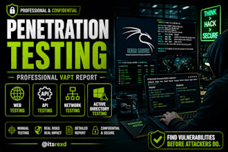 do penetration testing for web, network and API using owasp testing
