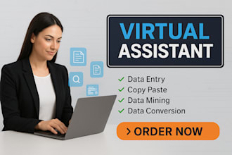 be your virtual assistant for data entry, data mining, typing, web research