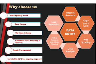 excel data entry, web search, scraping, and lead generation